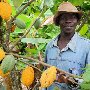 Farmer by cocoa tree